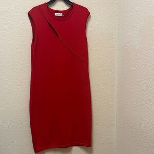 Calvin Klein Red Mini Dress